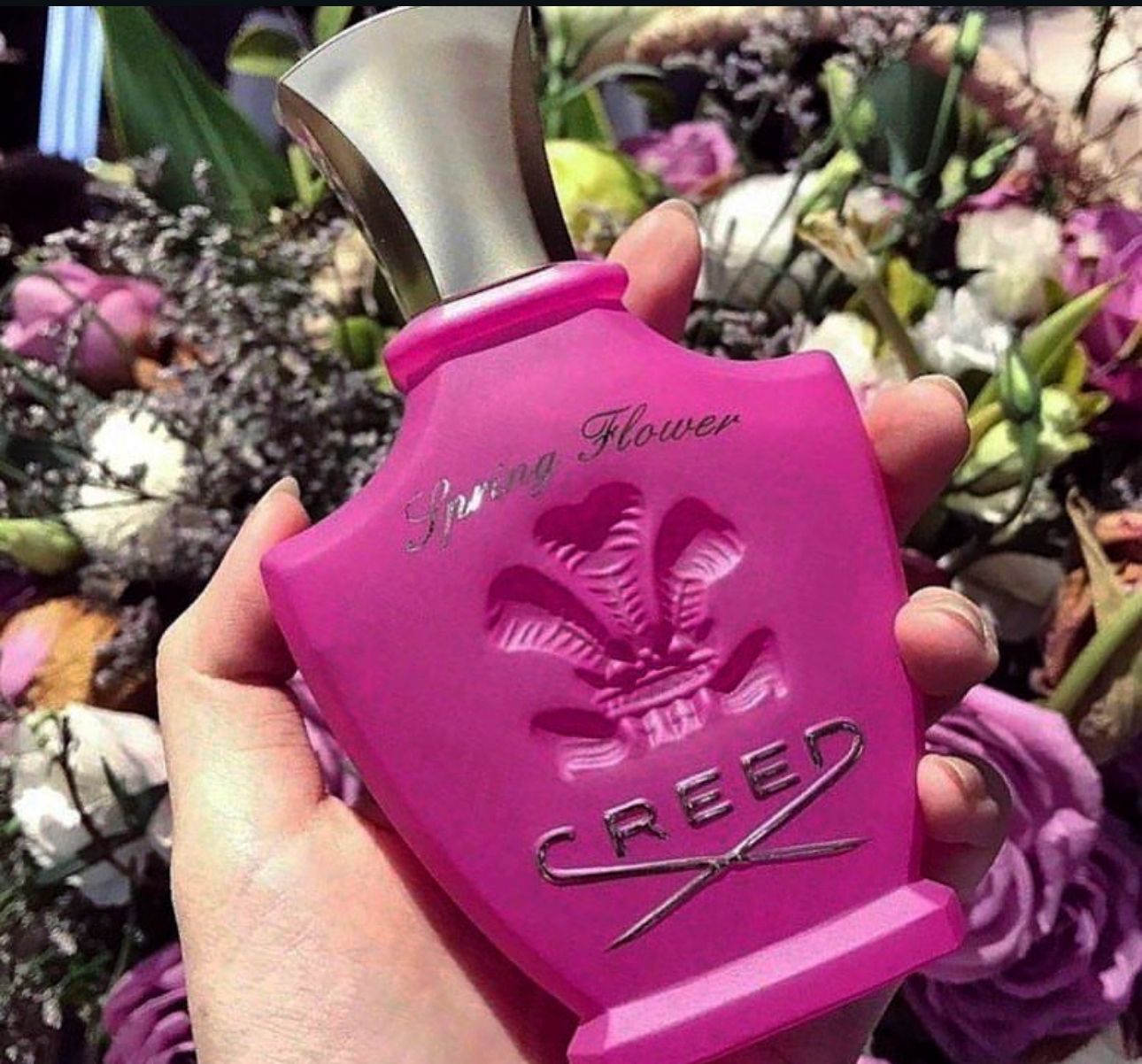 CR_EE_D SPRING FLOWER