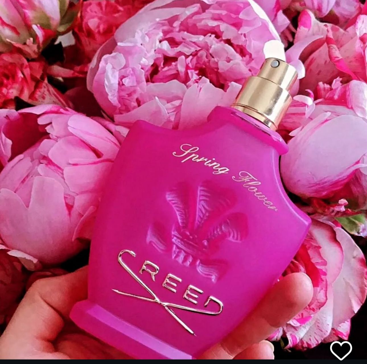 CR_EE_D SPRING FLOWER