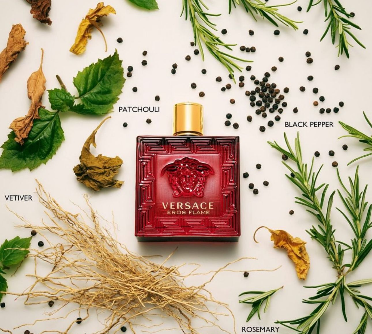 Ve_rsa_ce Eros Flame Red